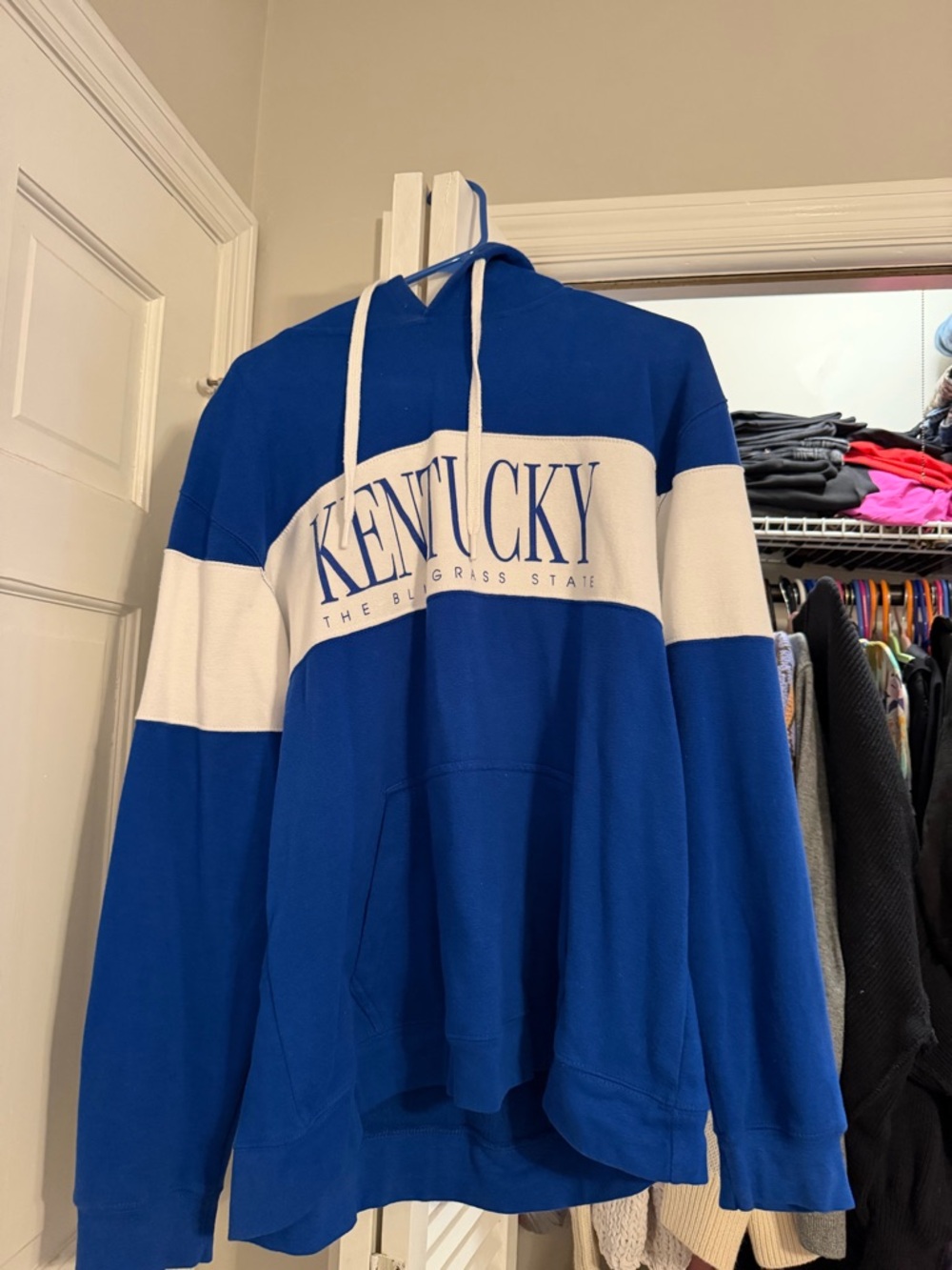 Shop Local Kentucky - Kentucky The Bluegrass State -  Blue Hoodie